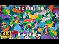 Saintsans  carnival of the animals 4k