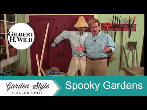 Video: Spookachtige tuinideeën - Leer hoe u een spooktuin kunt maken
