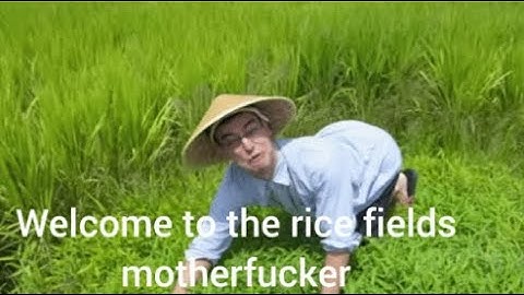 WELCOME TO THE RICE FIELDS MF! (VIETNAM WAR EDIT)