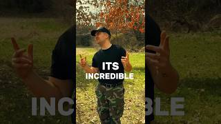 Anyone else like this? #hypothetical #newmusic #neednewsongs #music