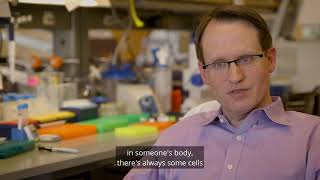 Circulating Tumor DNA: Enhanced Cancer Detection | Stanford Cancer Institute
