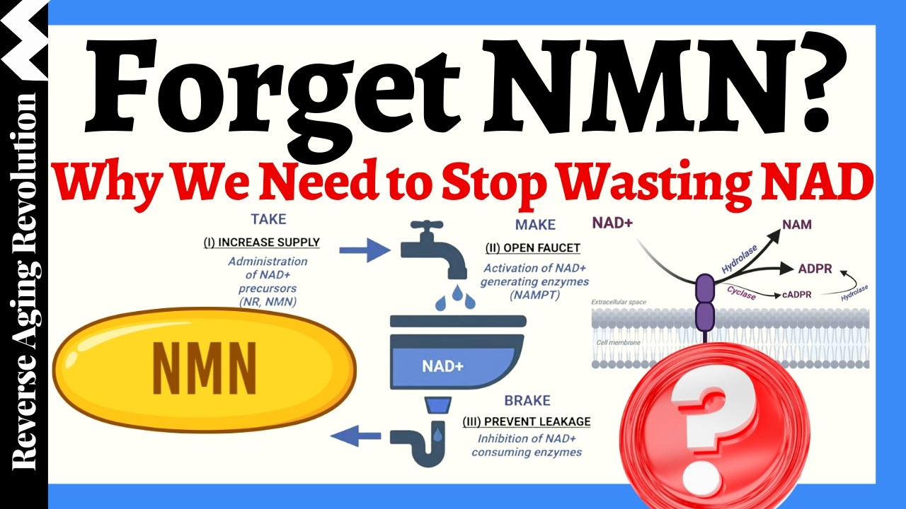 Забыли про NMN? Почему нам нужно перестать тратить NAD впустую!!!