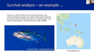 Analyzing acoustic telemetry data—an intro to different analytical techniques
