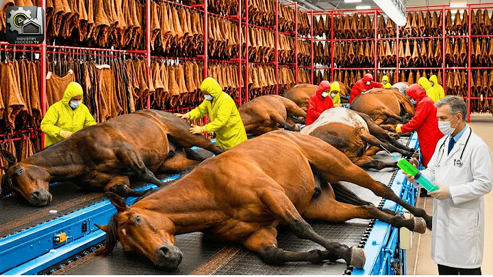Inside Modern Horse Leather Factory: How Raw Horse Skin Becomes Luxury Fashion (Full Process)