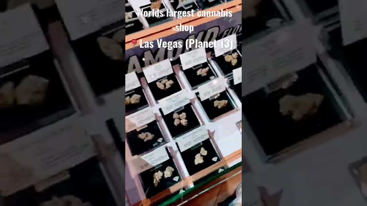 Worlds largest cannabis shop 📍Las Vegas (Planet 13)