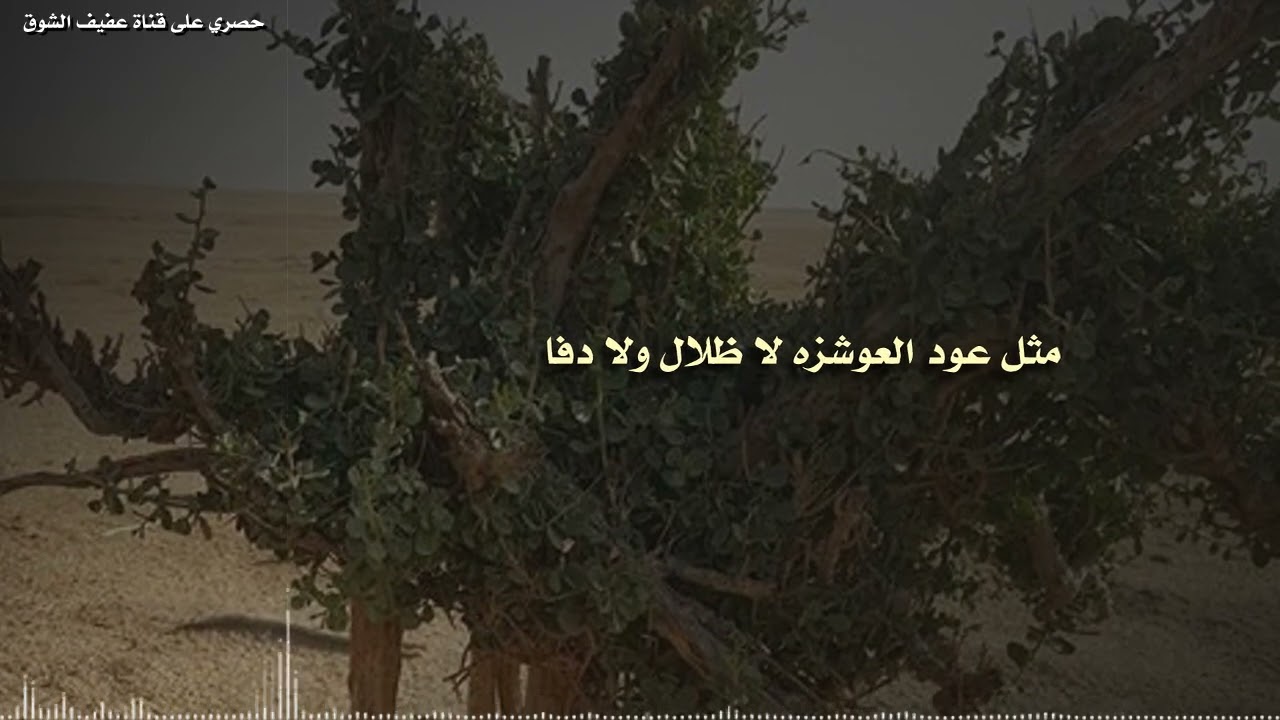 حصري شيلة الرجال اهل الوفا كلمات عايض التوم أداء صنهات العتيبي 2025