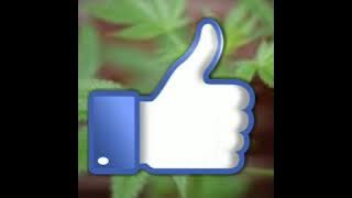 So High - Sojah (Lyrics)