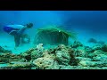 Building Fake Reef For Grouper | Catch & Sell