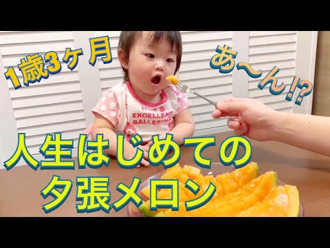 1歳3ヶ月 夕張メロンに戸惑う雫ちゃん