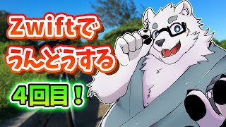 【Zwift】ウィークリーの運動するぞー！【Vtuber/北見ユウ】
