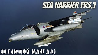 Полковой хорёк: Sea Harrier FRS.1 в War Thunder. Детальный обзор в авиа РБ.