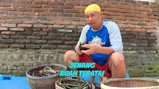 JENANG BUAH TERATAI | JEJAK SI GUNDUL (30/07/21)