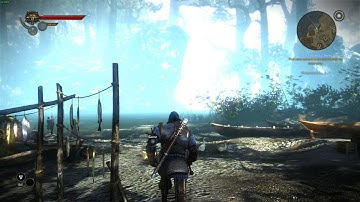 The Witcher 2: Assassins of Kings Enhanced Edition. Gameplay SteamOS+Linux. AMDGPU/PRO Driver