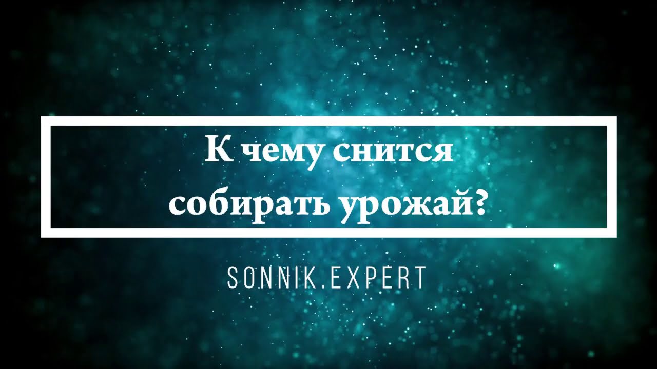 Сонник собирать автомобиль Сонник собирать автомобиль