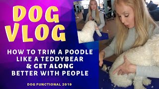 How To Trim A Poodle & Calm The Hell Down