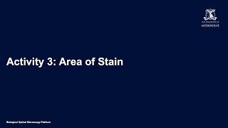 FIJI for Quantification (Activity 3): Area of Stain
