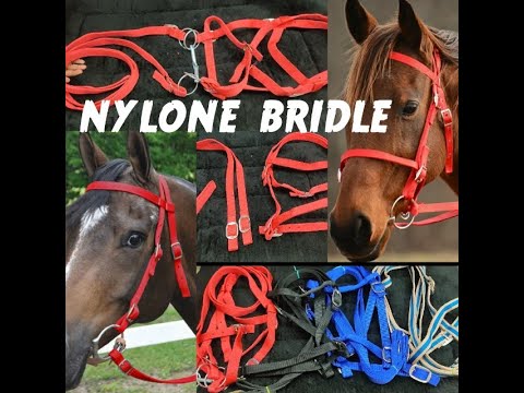 HORSE NYLONE BRIDLE | HOW TO ATTACHED BIT ON BRIDLE | SUPER LEATHER KATHOR | Horse