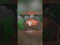 SCRIPT 99 NOITES NA FLORESTA 100% FUNCIONAL E ATUALIZADO #roblox #99nights