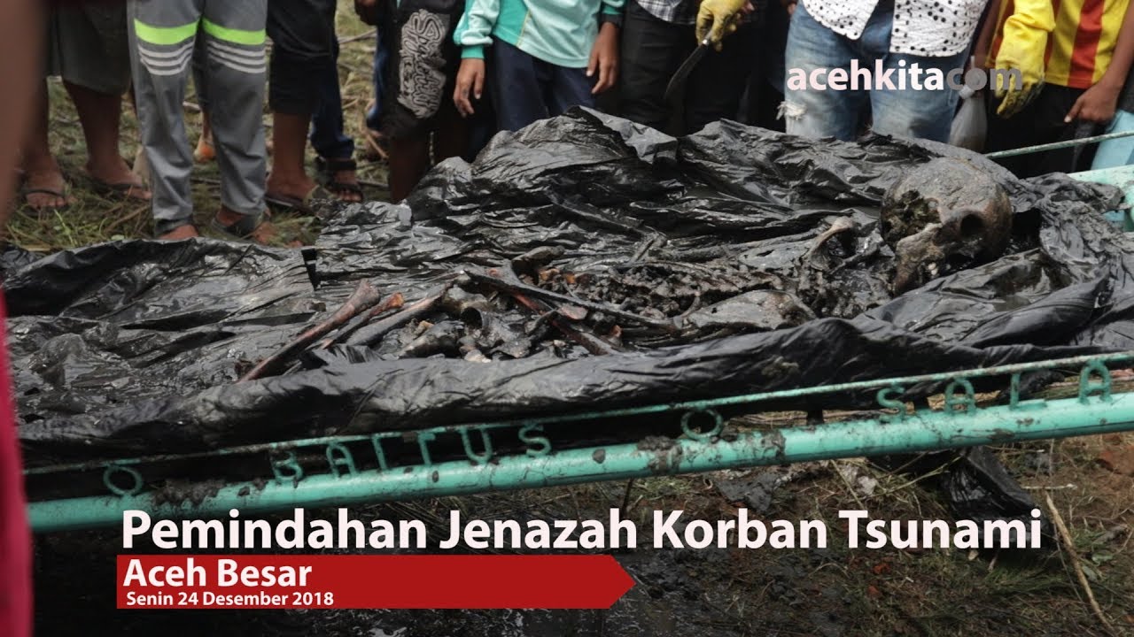 Pemindahan Jenazah Korban Tsunami Youtube