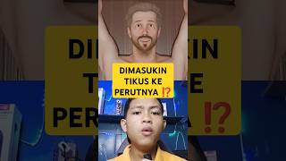 Download Lagu DIMASUKIN TIKUS KE PERUTNYA ⁉️ MP3