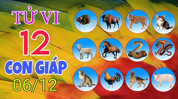 Chi Tiết Tử Vi Của 12 Con Giáp Ngày 06/12/2025 Về Vận Mệnh, Sự Nghiệp, Tài Lộc Và Con Số May Mắn