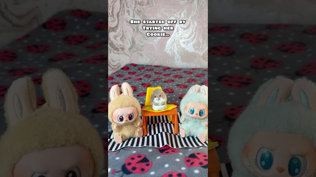 Miss. Jelly Tot loved her LABUBU Party ❤️🥰 