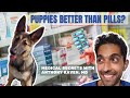 Dogs Prevent Heart Attacks? (Doctor Faces Off Puppies vs Pills)