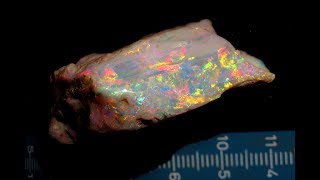 Risk vs. Reward: Cutting a 161 ct Rough Coober Pedy Opal Gemstone