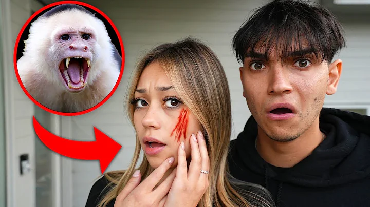 A Monkey ATTACKED My Girlfriend!