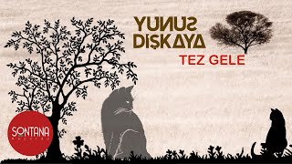 Yunus Dişkaya - Geceleri  Resimi