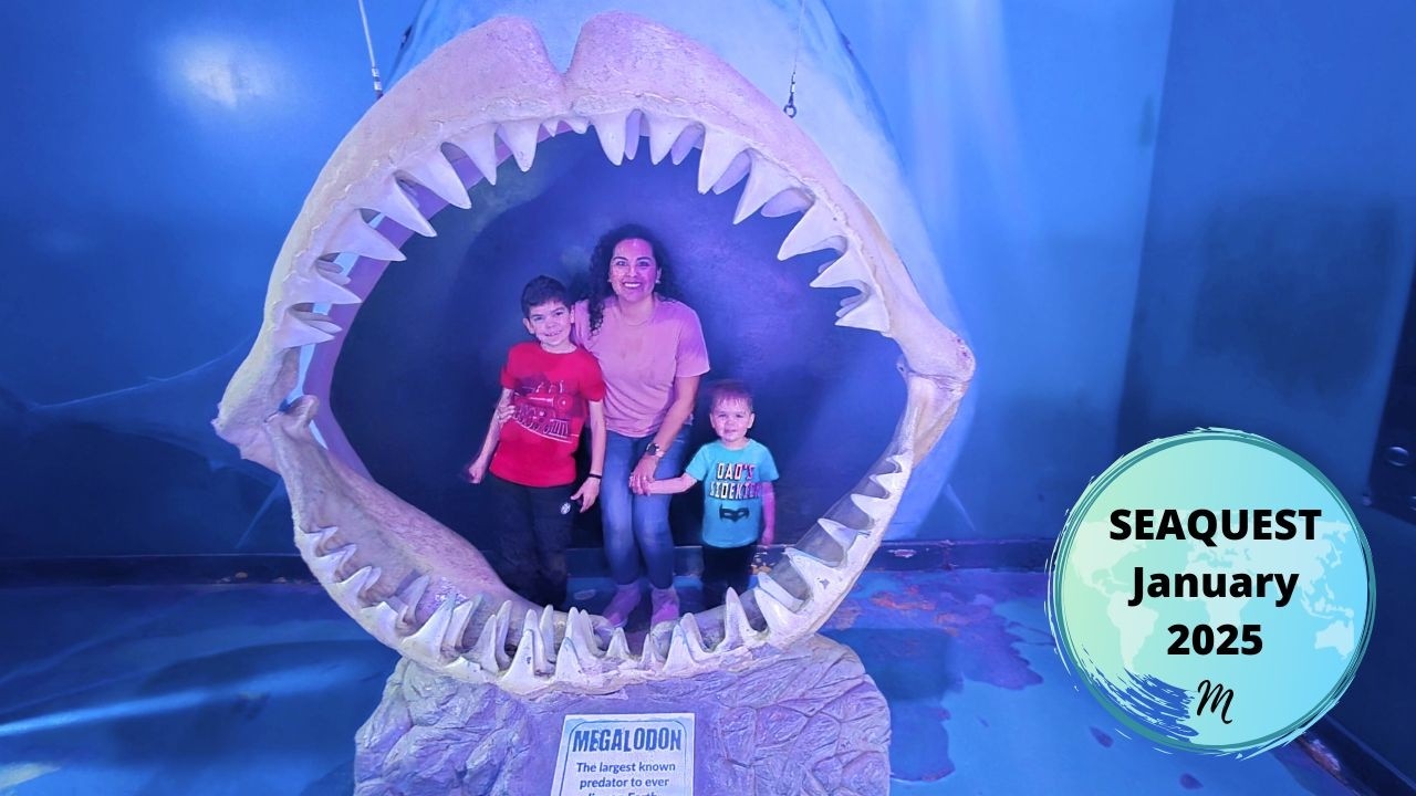Seaquest 2025