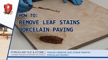 LTP - Removing Leaf Stains From Porcelain Paving