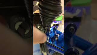 IMG 1800