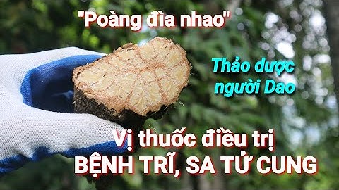 THẢO DƯỢC NGƯỜI DAO | CHIA SẺ VỊ THUỐC ĐẶC TRỊ BỆNH KHÓ NÓI