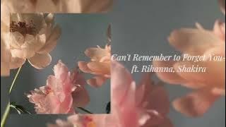 Shakira, Rihanna - Can't Remember to Forget You (Slowed)