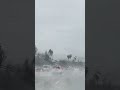 Cuando llueve en LA!