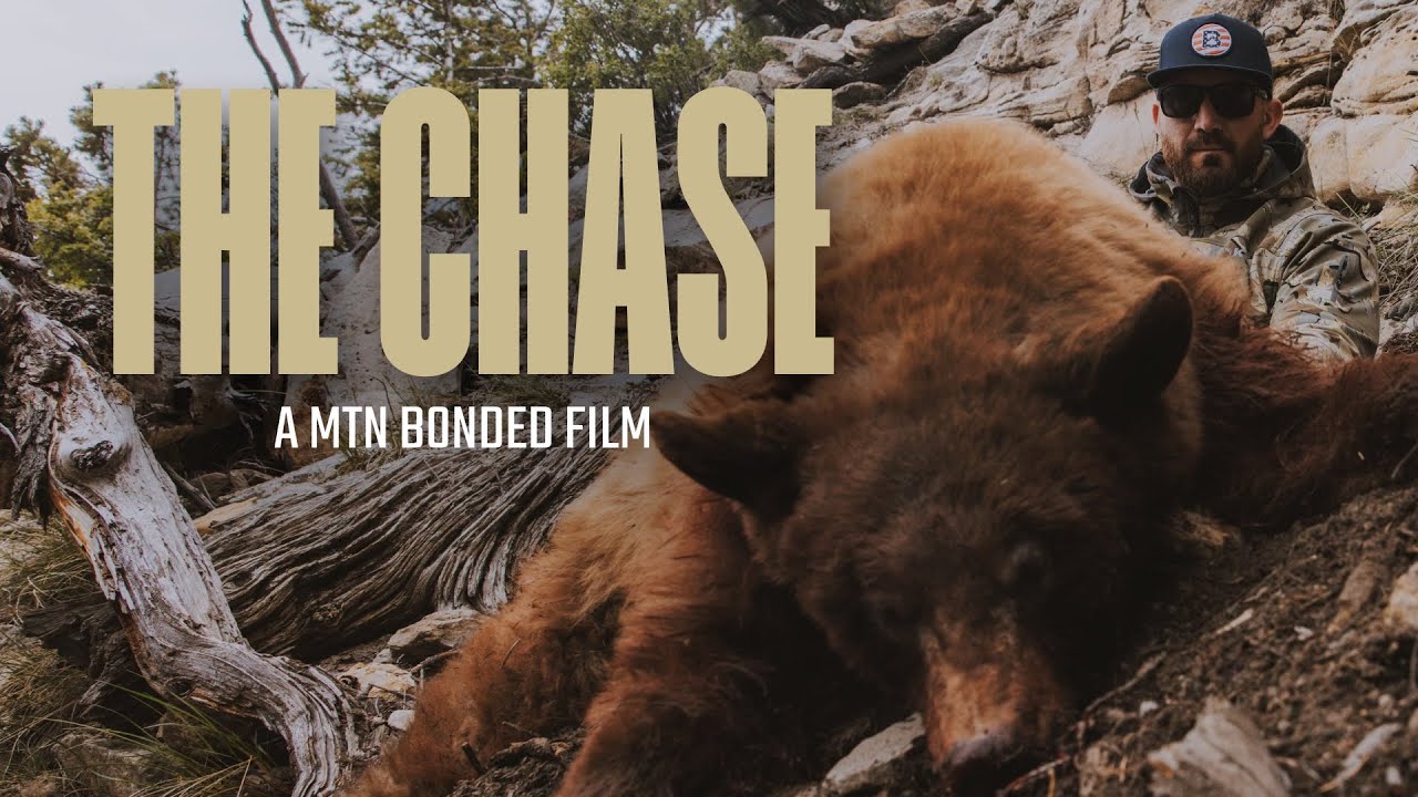 THE CHASE AN OTC UTAH BEAR HUNT YouTube the-chase-an-otc-utah-bear-hunt-youtube