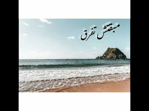 لي جي سي مش هتفرق