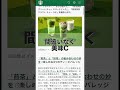 【スタバ新作】わらび餅x抹茶の新作が登場!どれが飲みたい?【4月1日発売】