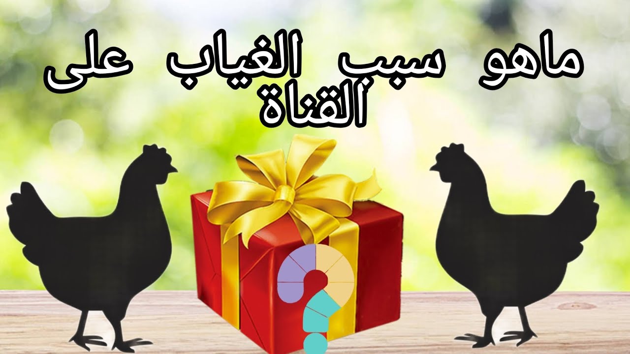 رجعت لليوتيوب بعد غياب طويل… شنو السبب؟ الحقيقة الكاملة! 🐔