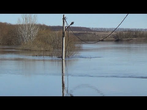 Видео: В половодье уровень воды есть?