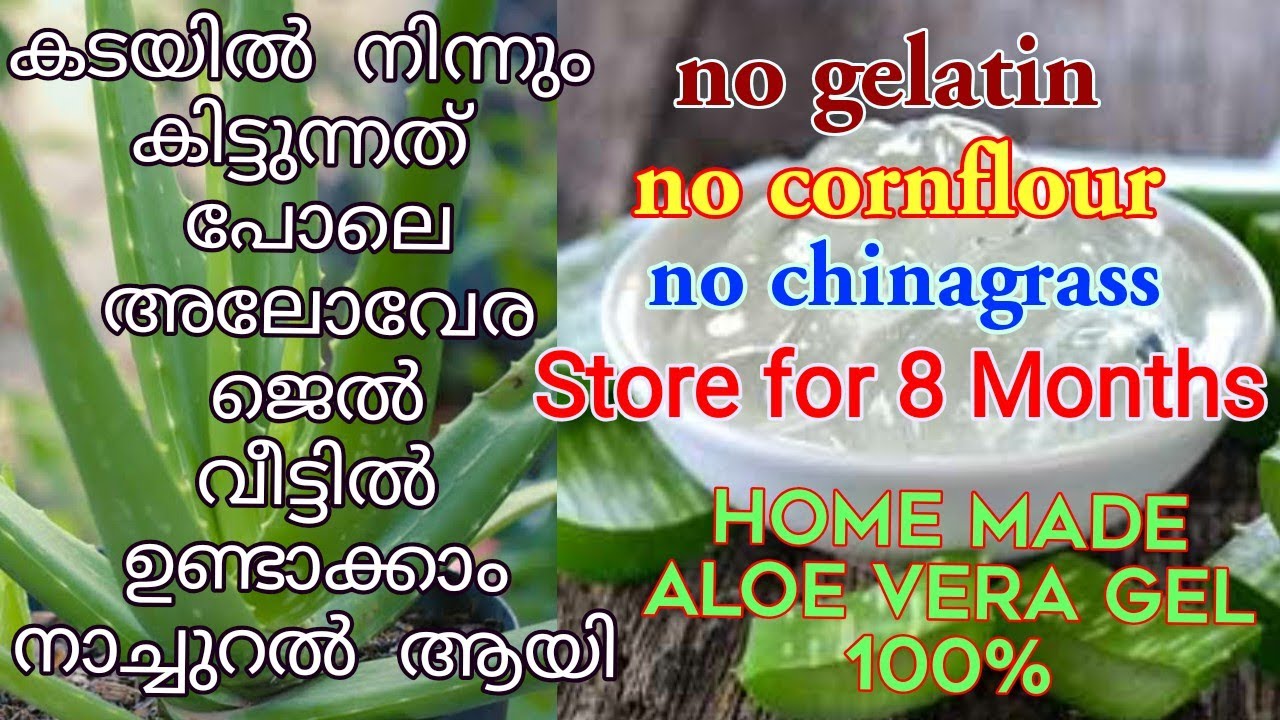വീട്ടിൽ തന്നെ നാച്ചുറലായി അലോവേര ജെൽ ഉണ്ടാക്കാം/How to make alove vera gel at home easily/Aloe Vera