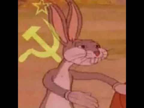 Communsim Rabbit CommunistRabbit Live Stream - YouTube