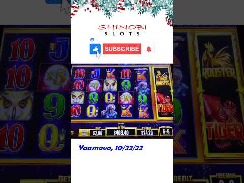 12 Days of Jackpot Handpays, No. 9 - 50x Multiplier Twice! #shorts #shinobislots #timberwolfdeluxe