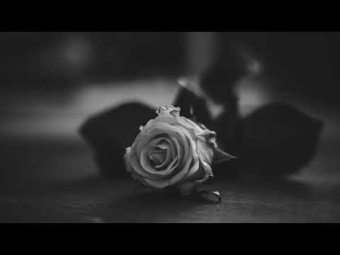 Max Richter - The Blue Notebook (Piano Works)
