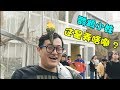 老肉Vlog：難道這隻鸚鵡要拉粑粑？我的內心要崩潰啦！