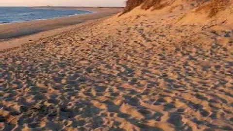 Old Cape Cod by Jerry Vale