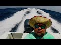 Ponce Inlet half day trip.