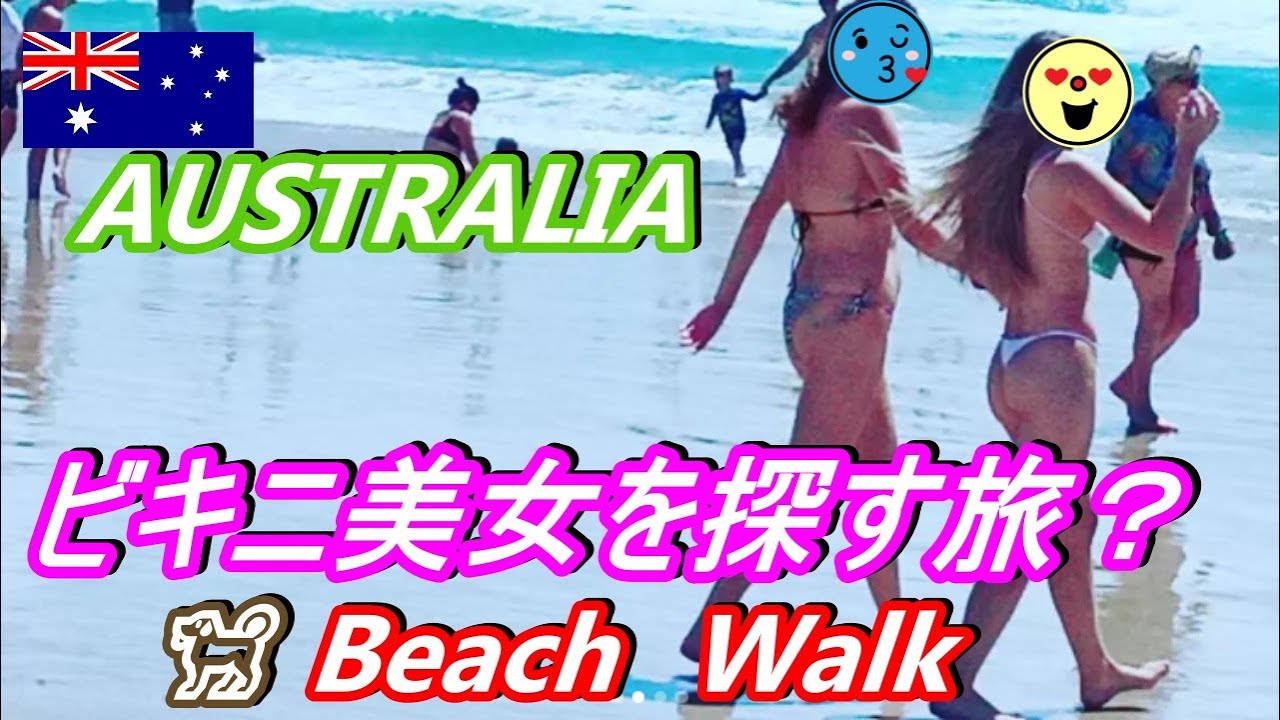 Beach Walk ビキニ美女と可愛いワンちゃんを探す旅編 ドッグビーチ散策 In Gold Coast Australia Youtube