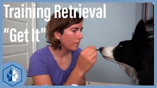 How to train Retrieval / “Get it” / Service Dog training